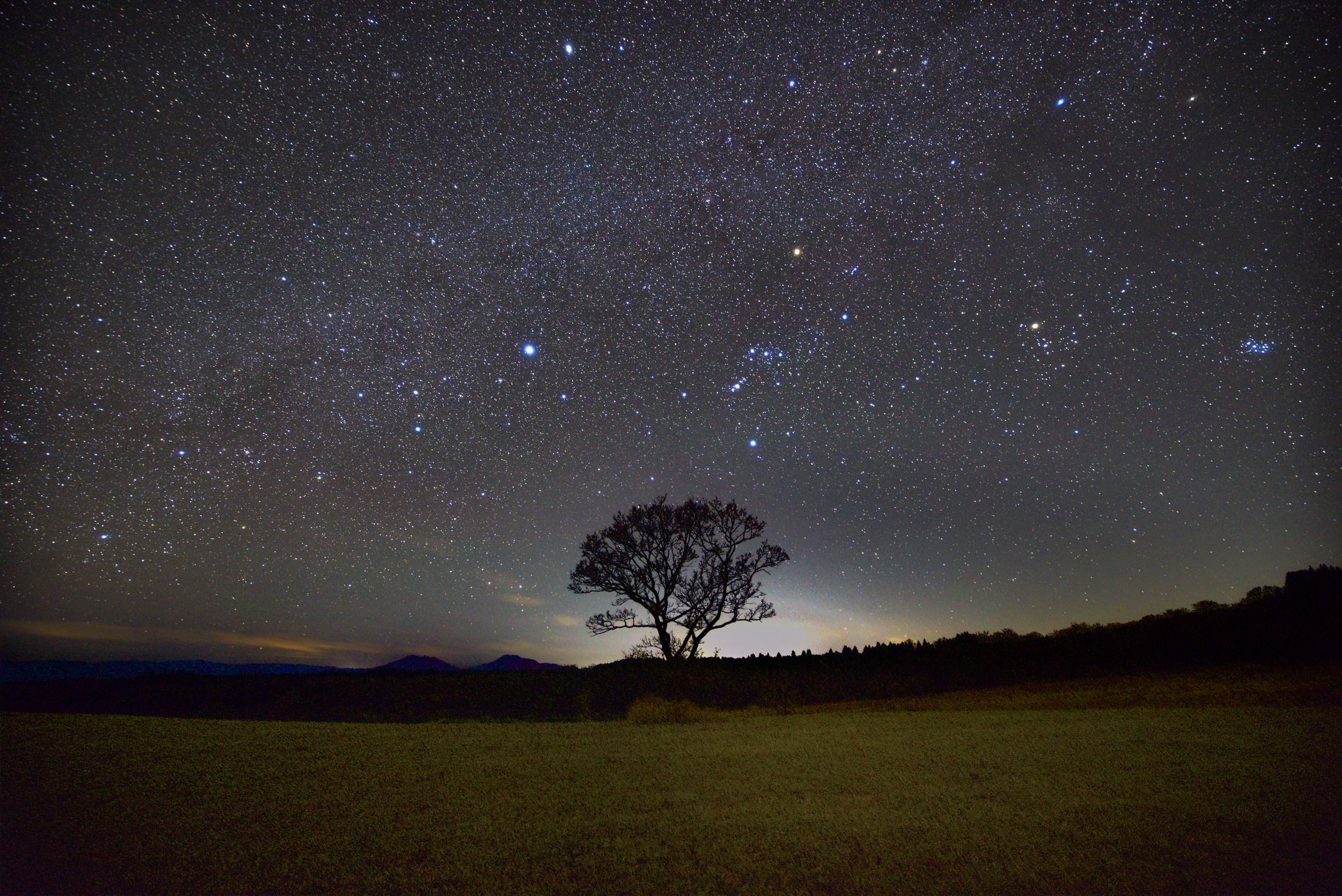 ブログ「２月まで休園期間中です。」の写真