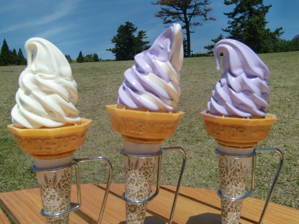 カモミールの写真