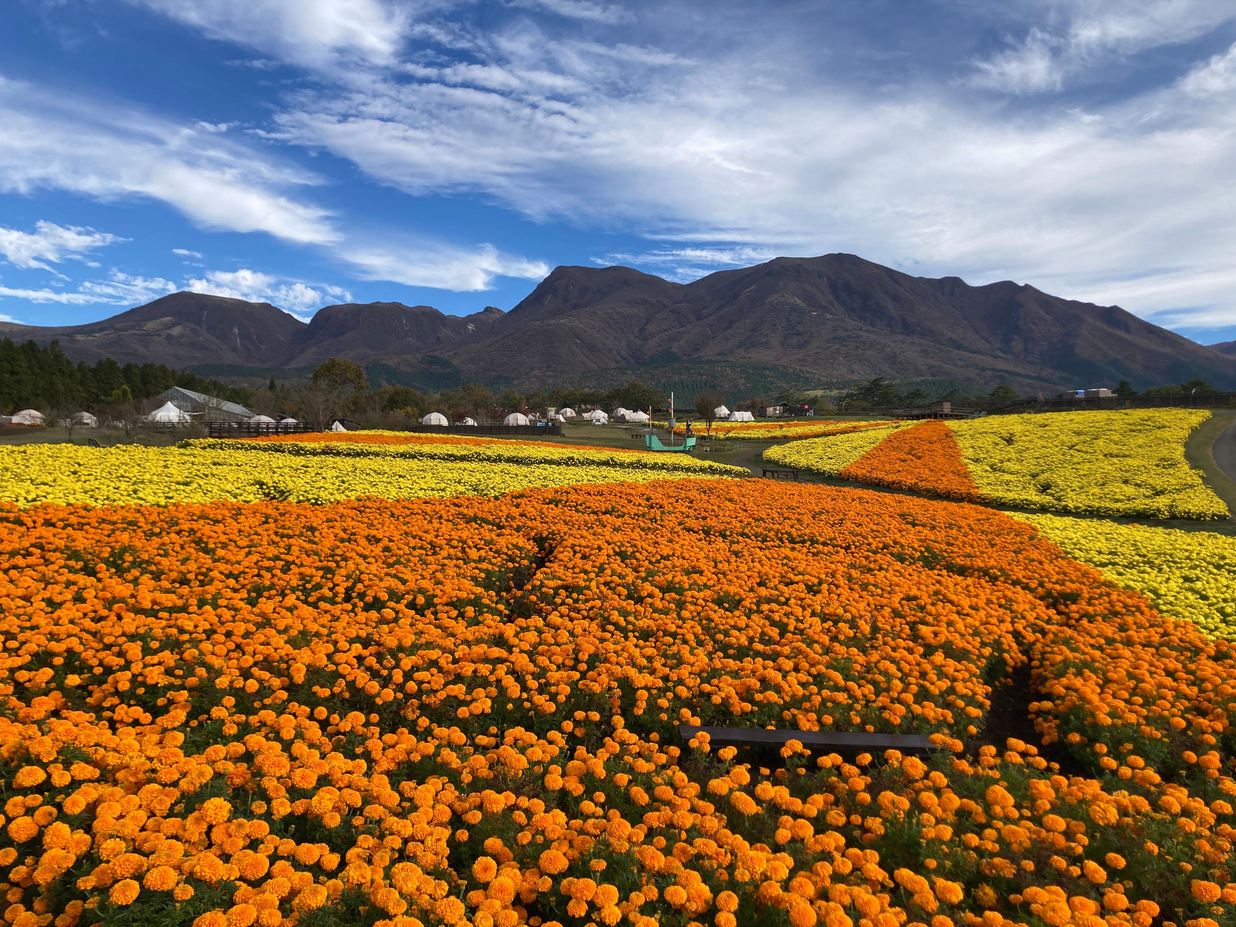 イベント「空とつながる天空の花畑 オータムフラワーフェスタ」の写真