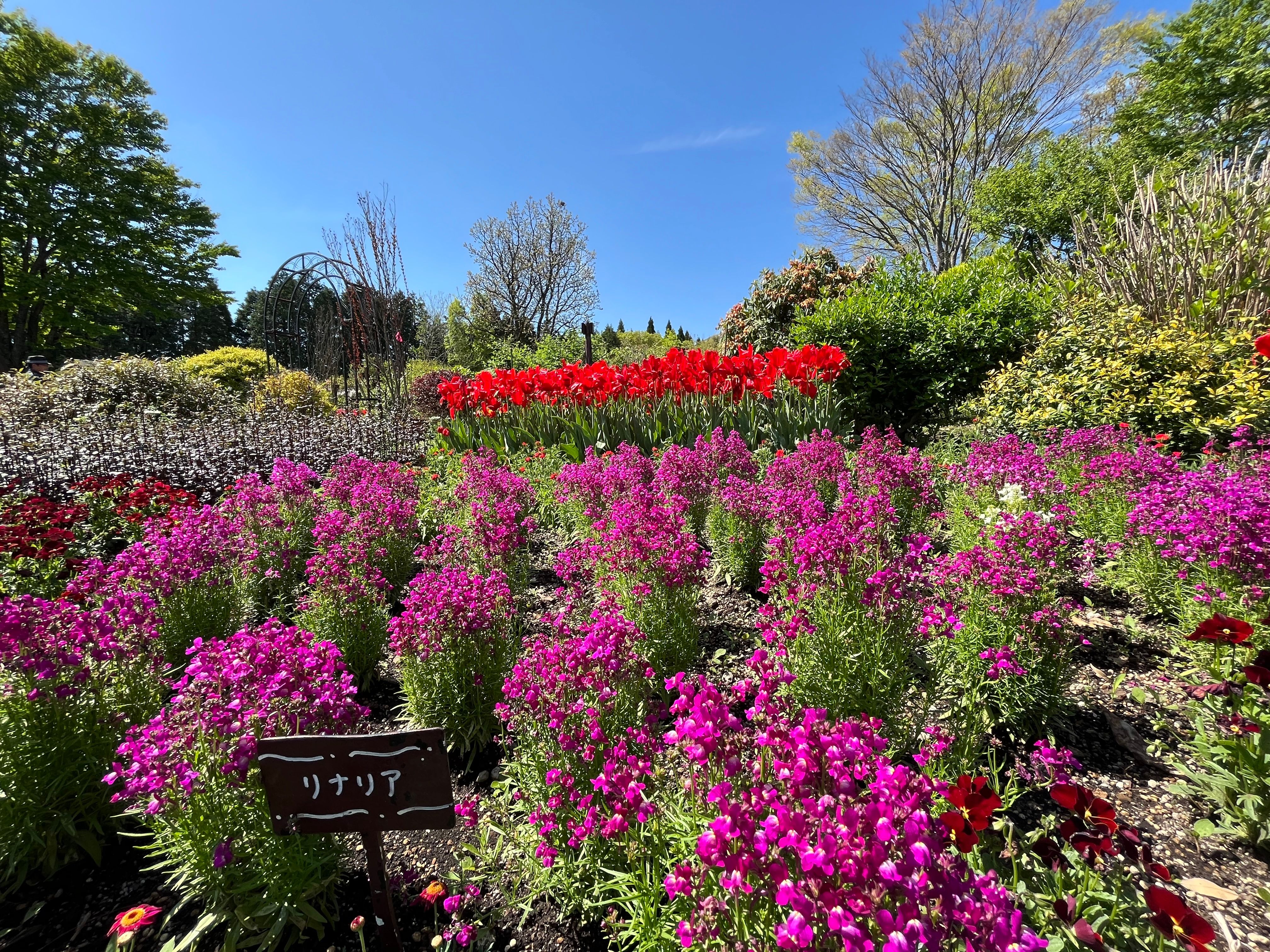 イベント「リニューアルオープン」の写真